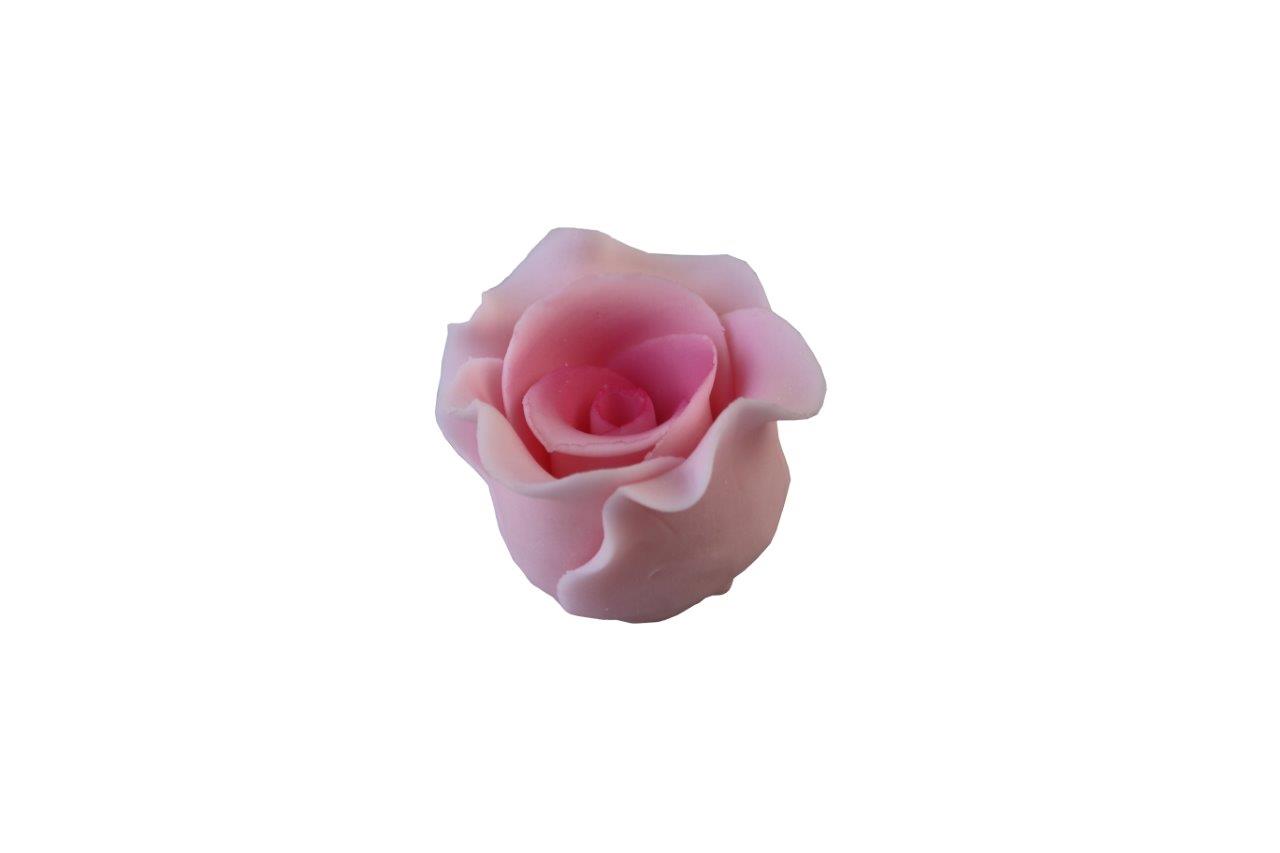Kwiat różowy