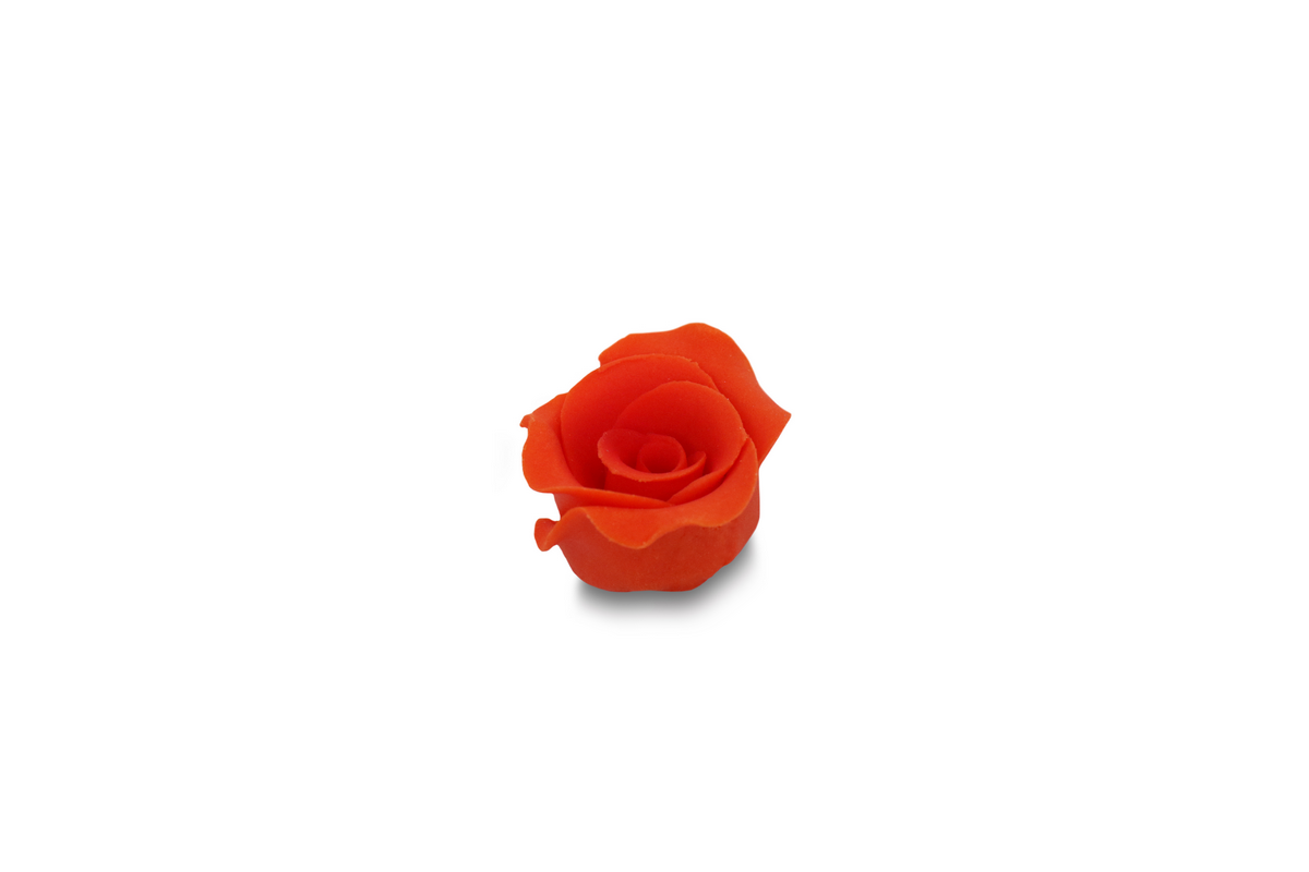Róża2